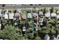 17 Fordham Street, Beach Haven, Auckland - Carousel 1
