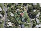 6 Waikare Road, Oneroa, Waiheke Island - Carousel 1