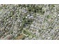 672C Beach Road, Browns Bay, Auckland - Carousel 1
