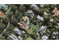 8 Aratonga Avenue, Greenlane, Auckland - Carousel 1