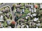 6 Fairdale Place, Birkdale, Auckland - Carousel 1