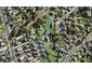1A McGregor Street, Mount Roskill, Auckland - Carousel 1