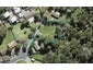 18 Gemini Place, Beach Haven, Auckland - Carousel 1