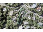 27 Ferry Road, Days Bay, Lower Hutt - Carousel 1
