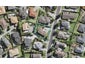 27 Virginia Street, Henderson, Auckland - Carousel 1