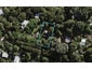 87 Wilma Road, Ostend, Waiheke Island - Carousel 1
