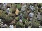 14 Golf Road, Epsom, Auckland - Carousel 1