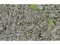 12E Minaret Drive, Bucklands Beach, Auckland - Carousel 1