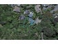 1D Wadestown Road, Wadestown, Wellington - Carousel 1