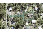 54 Jamieson Road, Mahurangi West, Warkworth - Carousel 1