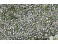 36A Penzance Road, Mairangi Bay, Auckland - Carousel 1