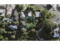 1A Waikowhai Road, Mount Roskill, Auckland - Carousel 1
