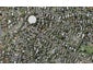 8 Swainston Road, Saint Johns, Auckland - Carousel 1