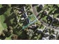 20A Kallu Crescent, Mount Roskill, Auckland - Carousel 1