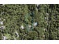 279 Konini Road, Titirangi, Auckland - Carousel 1