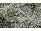101 Glenvar Road, Torbay, Auckland - Carousel 1