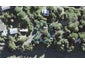 18 Baddeleys Beach Road, Tāwharanui Peninsula, Matakana - Carousel 1