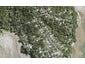 95 Tanekaha Road, Titirangi, Auckland - Carousel 1