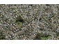 35 Caribbean Drive, Unsworth Heights, Auckland - Carousel 1