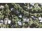 185 Wade River Road, Wade Heads, Whangaparaoa - Carousel 1
