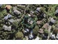 12 Pullum Street, Birkenhead, Auckland - Carousel 1