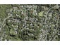 128 Woodlands Park Road, Titirangi, Auckland - Carousel 1