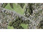 111 MacLeans Road, Bucklands Beach, Auckland - Carousel 1