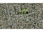 18 Clinton Avenue, Te Atatu Peninsula, Auckland - Carousel 1