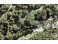 22 Opahi Bay Road, Mahurangi West, Warkworth - Carousel 1