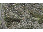 3A Gretel Place, Hillcrest, Auckland - Carousel 1