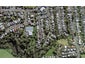16 Hector Street, Ponsonby, Auckland - Carousel 1