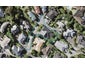 48 Westview Court, Somerville, Auckland - Carousel 1