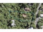 59 Waima Crescent, Titirangi, Auckland - Carousel 1