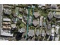 422D Remuera Road, Remuera, Auckland - Carousel 1