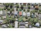 12 Levonia Street, Morningside, Auckland - Carousel 1