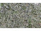 2/5 Sirius Place, Botany Downs, Auckland - Carousel 1
