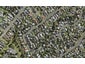 1/88 Webster Avenue, Mount Roskill, Auckland - Carousel 1