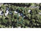 87 Waima Crescent, Titirangi, Auckland - Carousel 1