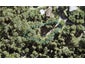 14 Opahi Road, MAHURANGI WEST, WARKWORTH - Carousel 1
