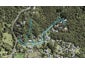 188A Huia Road, Titirangi, Auckland - Carousel 1