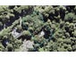 820 West Coast Road, Oratia, Auckland - Carousel 1