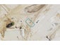 27 Te Napi Drive, Takanini, Auckland - Carousel 1