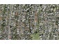 11C Keldale Place, Forrest Hill, Auckland - Carousel 1