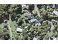 9 Ocean View Road, Huia, Auckland - Carousel 1