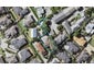 636G East Coast Road, Pinehill, Auckland - Carousel 1
