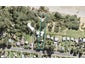 131 Howard Road, Papakura - Carousel 1