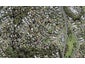 10B Sunward Rise, Glenfield, Auckland - Carousel 1