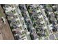 5 Dalray Avenue, Takanini, Auckland - Carousel 1