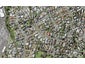 39C Sorrel Crescent, Bucklands Beach, Auckland - Carousel 1