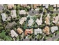 10 Godwin Court, Unsworth Heights, Auckland - Carousel 1